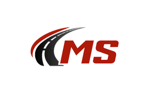 MS Header logo